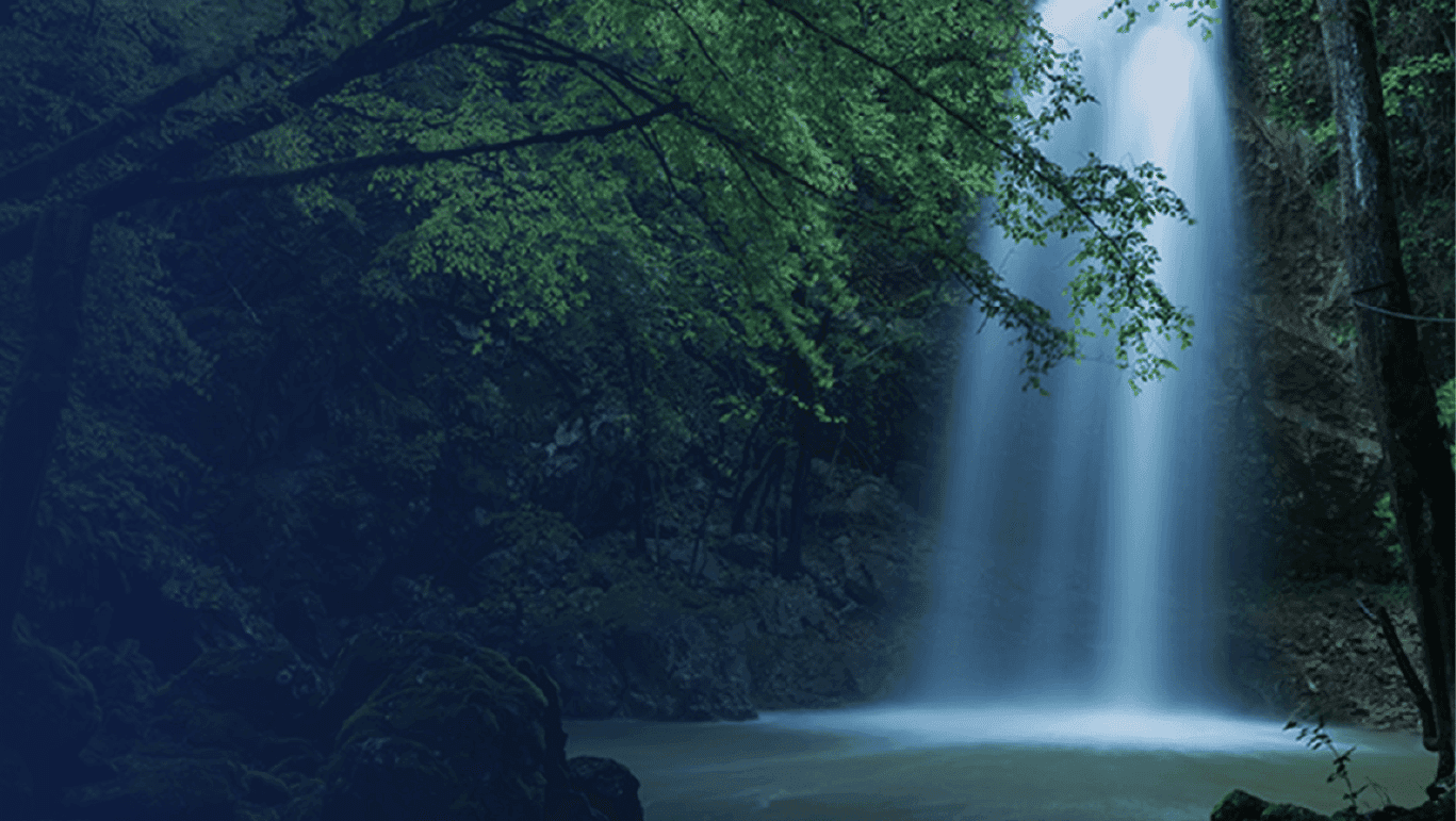 Breath of Release: A Lung Healing Retreat