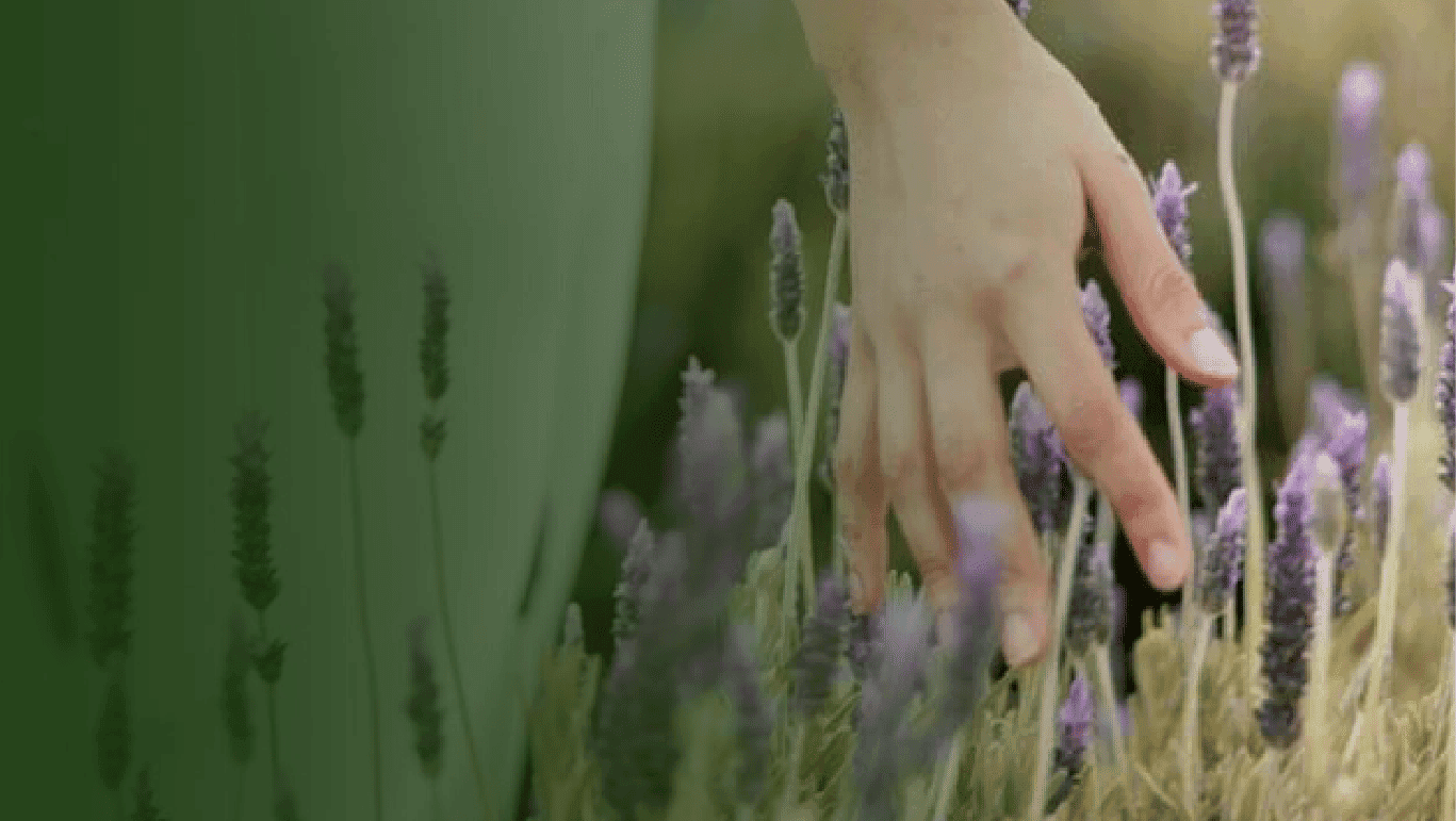 Astral Realm: Soul Records Healing Journey